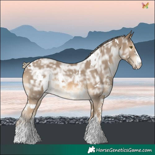 Horse Color:White Spotted Chocolate Palomino Ice Sabino 