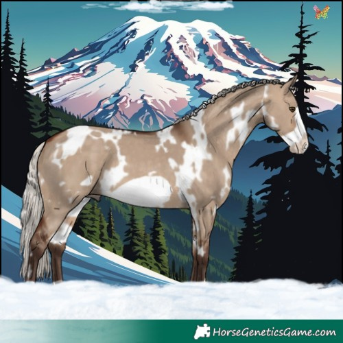 Horse Color:White Spotted Silver Brown Dun Frame 