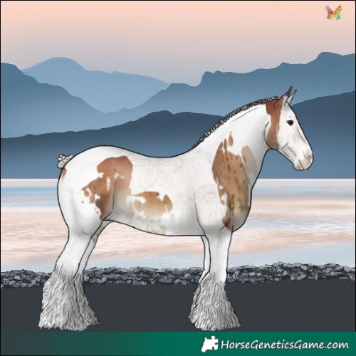 Horse Color:White Spotted Silver Bay Onyx Splash Tobiano 