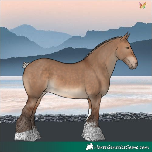 Horse Color:Silver Brown Dun Sabino Tobiano Rabicano 
