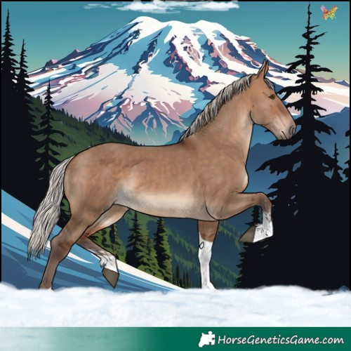 Horse Color:Silver Brown Dun Sabino Tobiano Rabicano 
