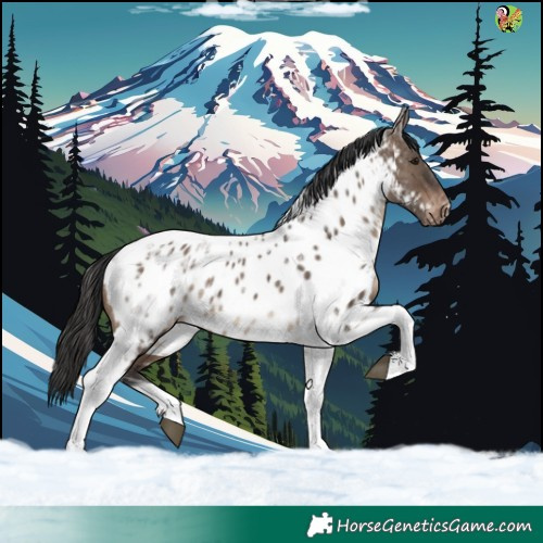 Horse Color:Brown Dun Tobiano Appaloosa Rabicano 