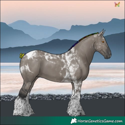 Horse Color:Painted White Spotted Grullo Tobiano 
