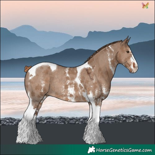 Horse Color:Liver Red Dun Sabino Tobiano Rabicano 