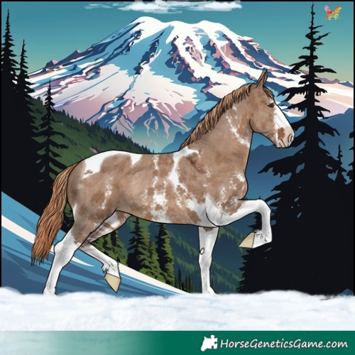 Horse Color:Liver Red Dun Sabino Tobiano Rabicano 