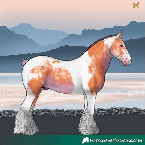Horse Color:Watercolor Liver Chestnut Tobiano Rabicano 