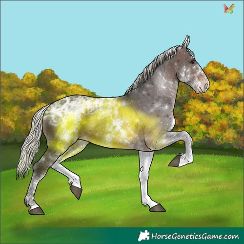 Horse Color:White Spotted Silver Brown Ice 