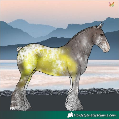 Horse Color:White Spotted Silver Brown Ice 