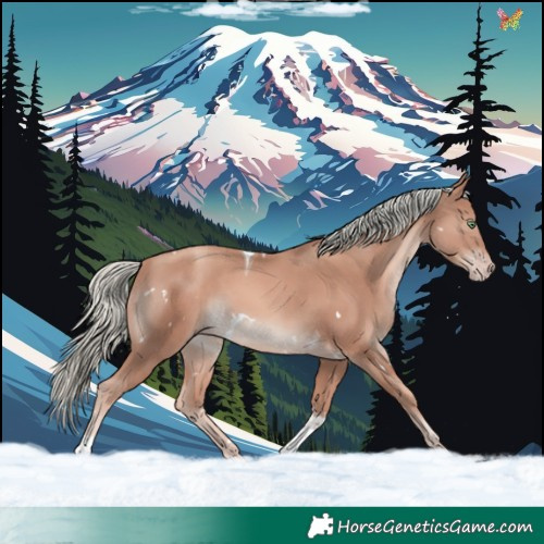 Horse Color:White Spotted Gold Champagne Mushroom Tobiano 