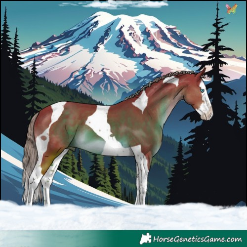 Horse Color:Watercolor Liver Chestnut Splash Tobiano 