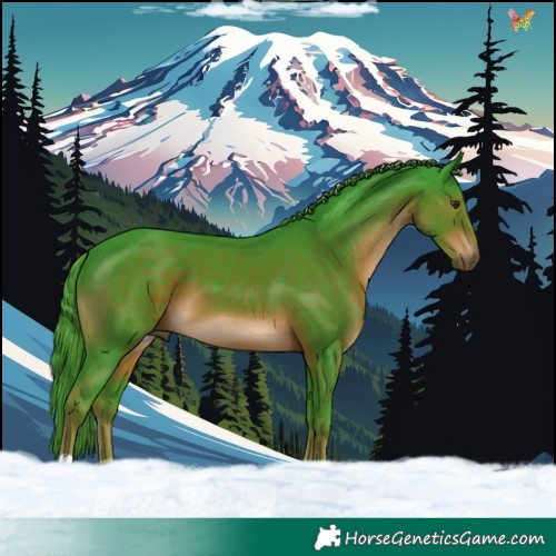 Horse Color:Watercolor Liver Chestnut 