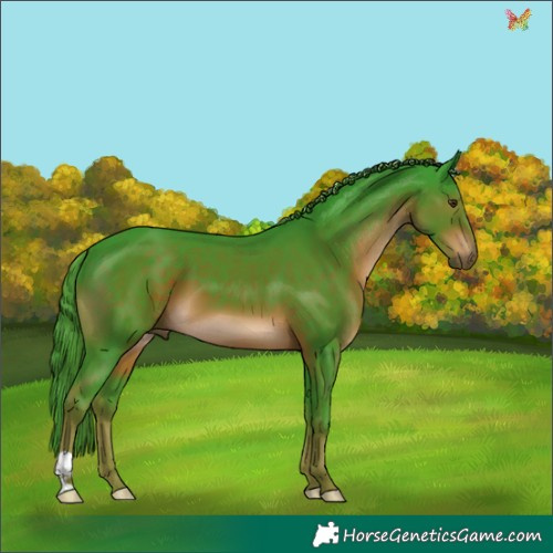 Horse Color:Watercolor Liver Chestnut 