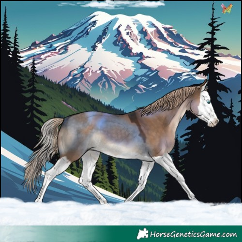 Horse Color:Liver Red Dun Splash 