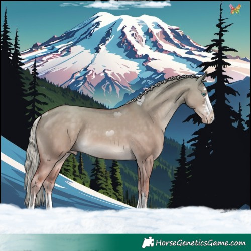 Horse Color:Watercolor Gold Cream Champagne Dun 