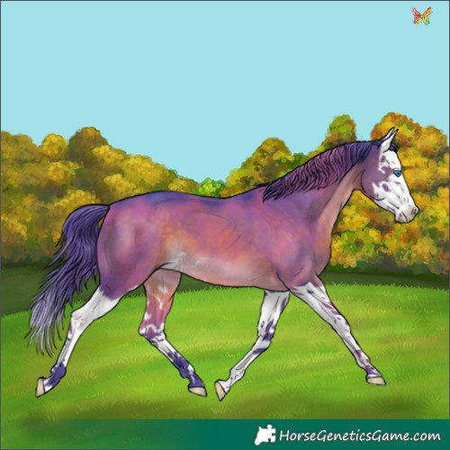 Horse Color:Watercolor Brown Splash 