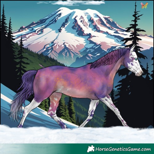 Horse Color:Watercolor Brown Splash 
