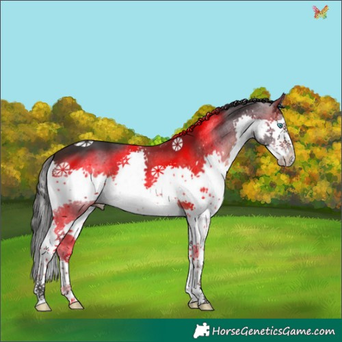 Horse Color:Brown Splash 