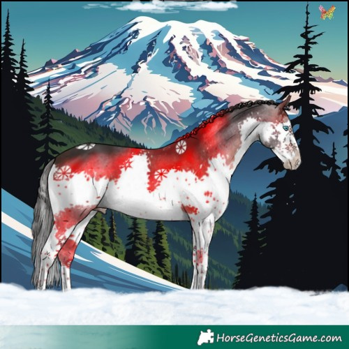 Horse Color:Brown Splash 