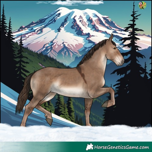 Horse Color:Liver Red Dun 