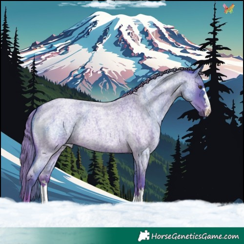 Horse Color:Watercolor Liver Red Roan 
