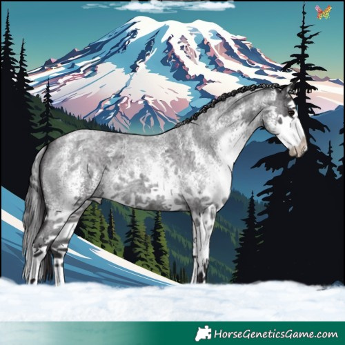 Horse Color:White Spotted Smoky Blue Roan Splash 
