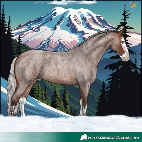 Horse Color:Silver Brown Roan Splash 