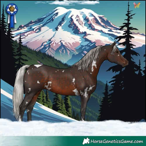 Horse Color:White Spotted Silver Brown Tobiano Rabicano 