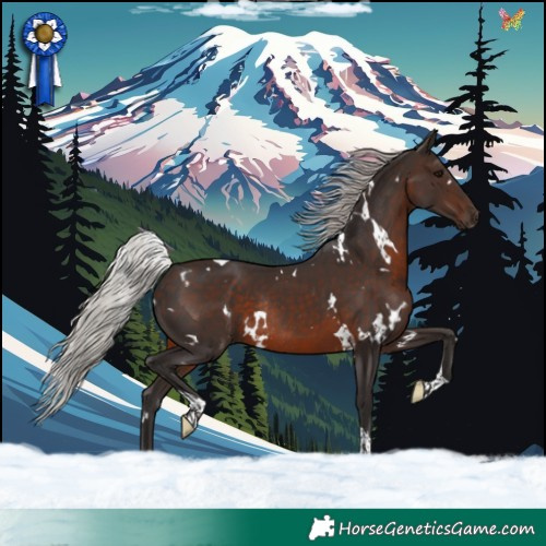 Horse Color:White Spotted Silver Brown Tobiano Rabicano 