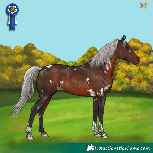 Horse Color:White Spotted Silver Brown Tobiano Rabicano 