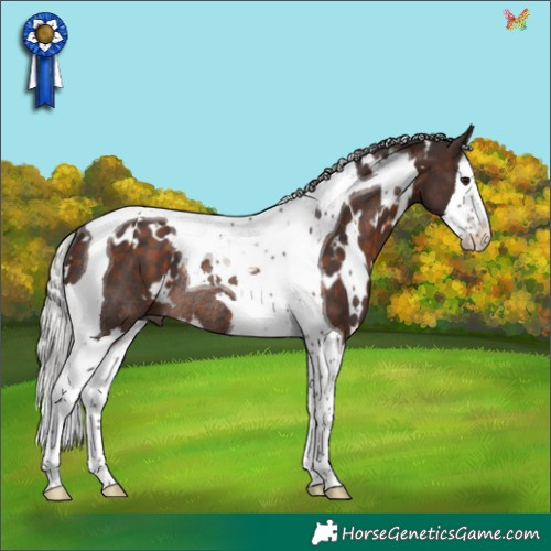 Horse Color:White Spotted Silver Brown Splash Tobiano Rabicano 
