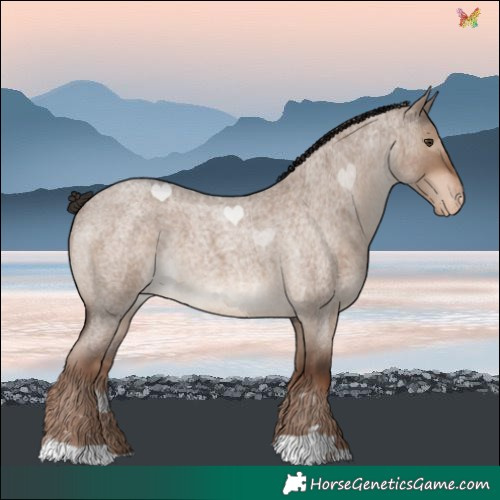 Horse Color:Liver Red Dun Roan Varnish Rabicano 