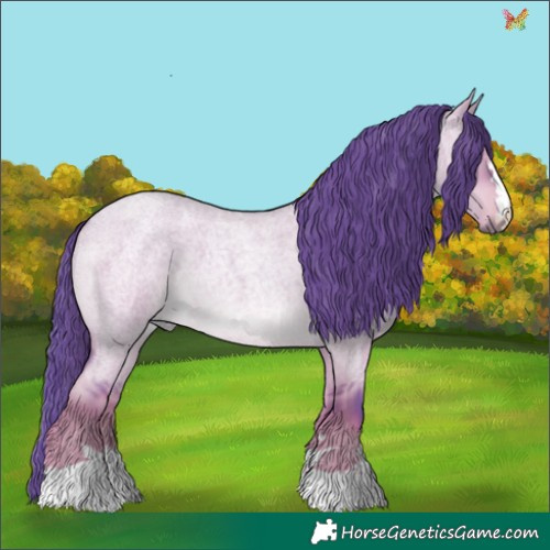 Horse Color:Watercolor Liver Red Dun Roan 