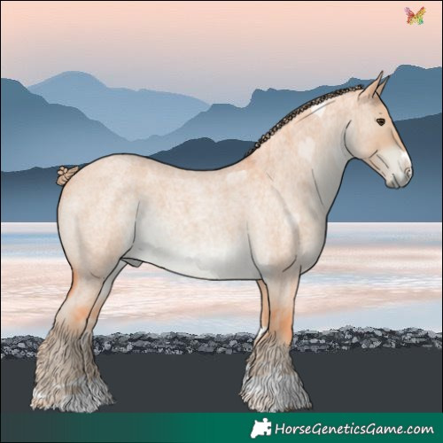Horse Color:Watercolor Liver Red Dun Roan 
