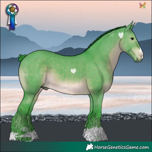 Horse Color:Watercolor Brown Dun 