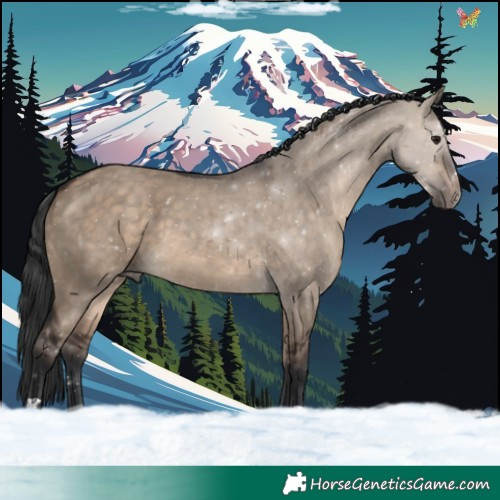 Horse Color:Brown Dun 