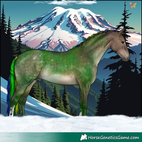 Horse Color:Painted Brown Dun Tobiano 