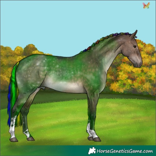 Horse Color:Painted Brown Dun Tobiano 