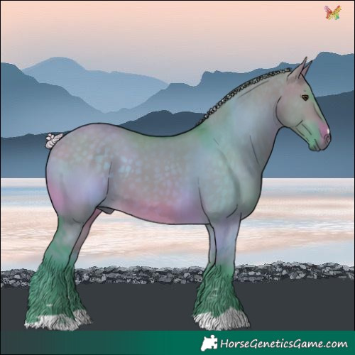 Horse Color:Watercolor Silver Brown Dun 