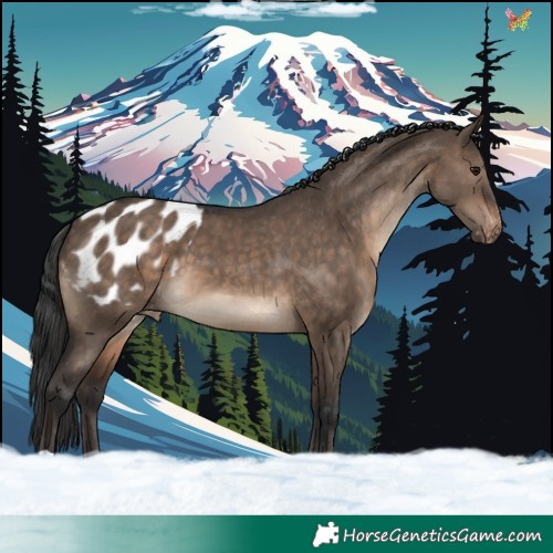 Horse Color:Brown Dun Blanket 