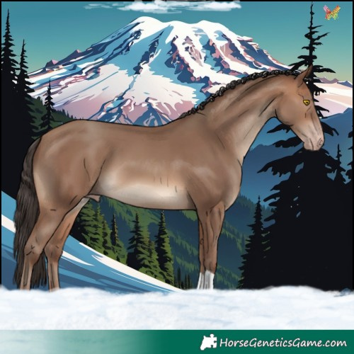 Horse Color:Sable Champagne 