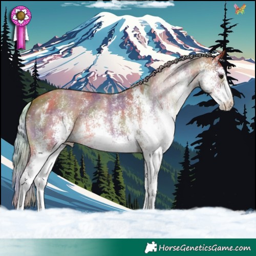 Horse Color:Nacre White Spotted Silver Bay 