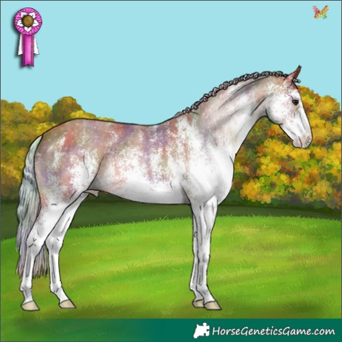 Horse Color:Nacre White Spotted Silver Bay 