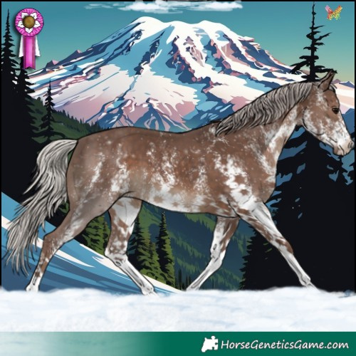 Horse Color:White Spotted Silver Black 
