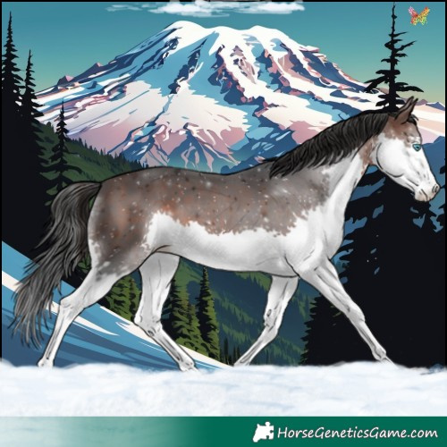 Horse Color:Brown Splash