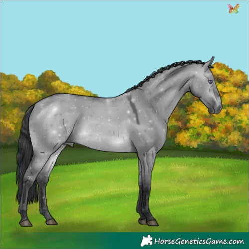 Horse Color:Brown Chinchilla Dun 