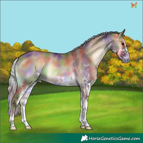Horse Color:Nacre White Spotted Silver Bay Onyx 