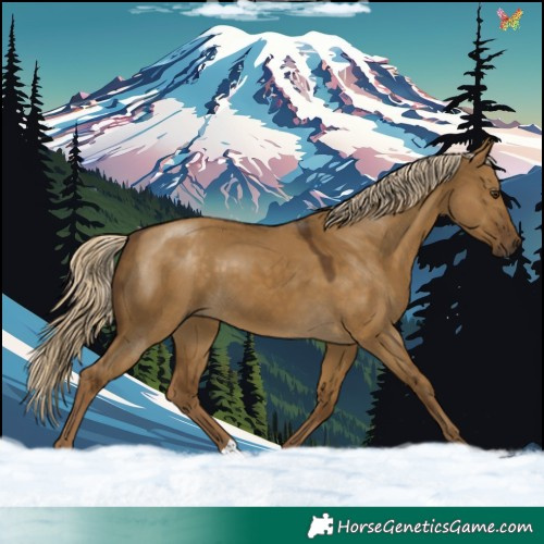 Horse Color:Chocolate Palomino Dun 