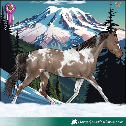Horse Color:White Spotted Liver Red Dun Tobiano Blanket 