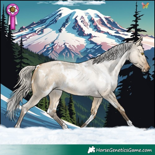 Horse Color:White Spotted Silver Buckskin Roan Dun 