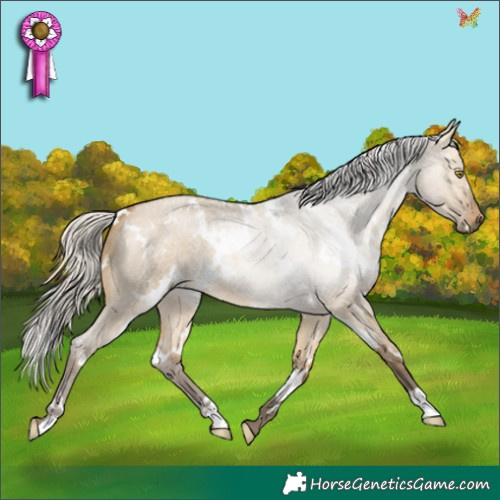 Horse Color:White Spotted Silver Buckskin Roan Dun 